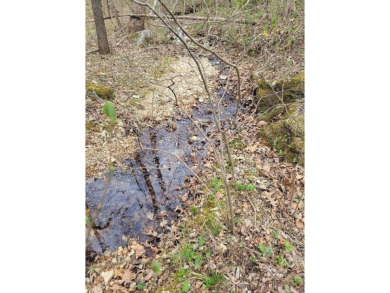 Lake Acreage For Sale in Marshall, Arkansas