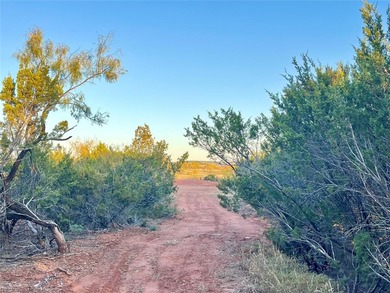 (private lake, pond, creek) Lot For Sale in Tuscola Texas