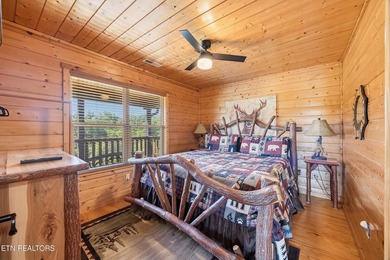 A rare easy-access cabin in the heart of the Smokies -- and a - photo 12