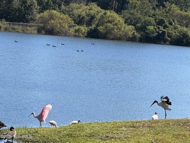 House features a large lot on approximately 30 Acre Lake, Stucco - photo 37