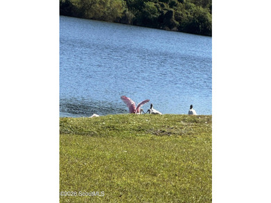 House features a large lot on approximately 30 Acre Lake, Stucco - photo 38