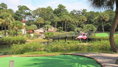 Welcome to Southshore Bay only 2 miles from the Atlantic Ocean - photo 10