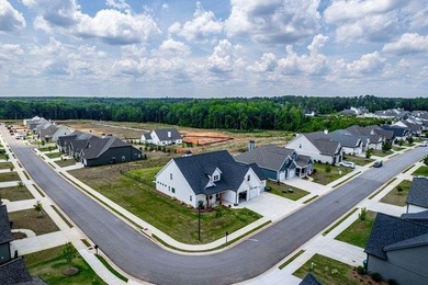 Designed for today's lifestyle, this spacious open floor plan - photo 47