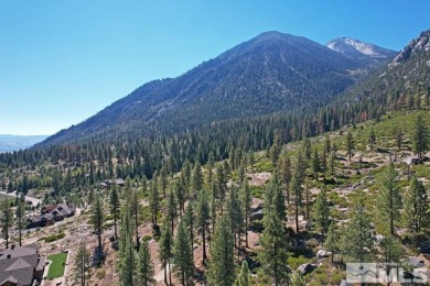 Lake Tahoe - Douglas County Acreage For Sale in Gardnerville Nevada