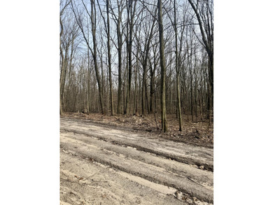 Looking for land with a rural country feel? Look no further! - photo 3
