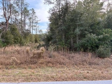 Bonable Lake Lot For Sale in Dunnellon Florida
