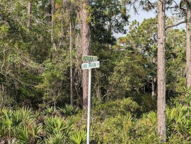 Lake Lot For Sale in Indian Lake Estates, Florida