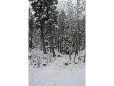 Monte Verde Lake Lot For Sale in Angel Fire New Mexico