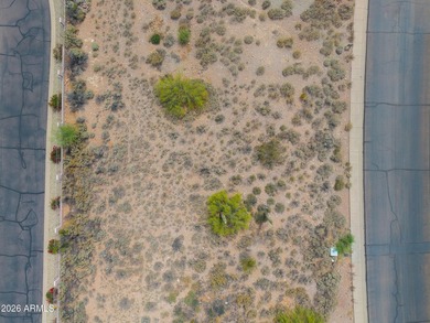 Build your dream home in the highly sought-after Gold Canyon - photo 9