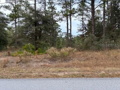 Bonable Lake Lot For Sale in Dunnellon Florida