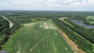 Duvall Farm is a rare Eastern Shore offering - a 408+/- acre - photo 2