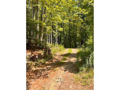 Summit Lake - Washington County Acreage For Sale in Argyle New York