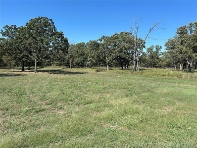 This 5 Acres offers seclusion and so much space for outdoor - photo 44