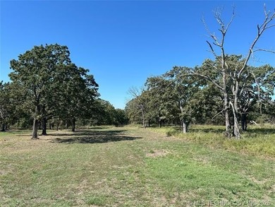 This 5 Acres offers seclusion and so much space for outdoor - photo 45