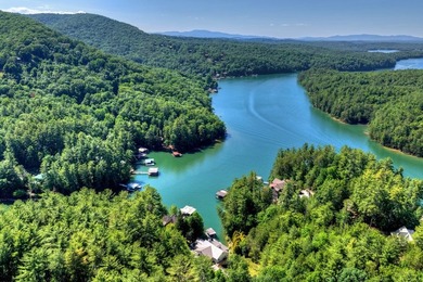 Welcome to one of Lake Blue Ridge's most extraordinary - photo 50