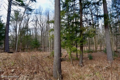 A wonderful opportunity to build in Mill Creek. Bring your own - Lake Acreage Sale Pending in Corinth, New York