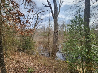 Lake Acreage Sale Pending in Milford, Virginia