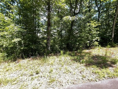 Lake Chatuge Lot For Sale in Hiawassee Georgia