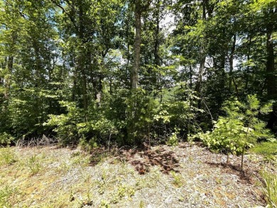 Lake Lot For Sale in Hiawassee, Georgia