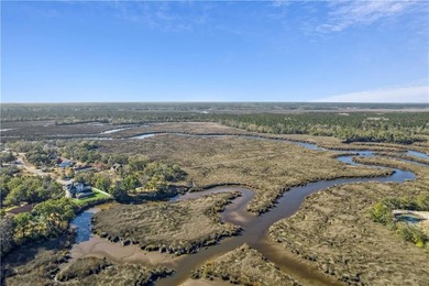 Stunning Marshfront Retreat with Private Tidal Creek - photo 23