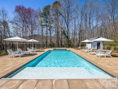 Completely transformed modern farmhouse on 5.5 acres w/ mountain - photo 39