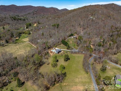 Completely transformed modern farmhouse on 5.5 acres w/ mountain - photo 43