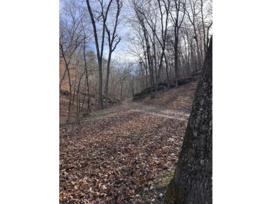 Secluded Lake Cabin on 2.65 acres - photo 22