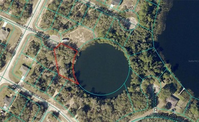 Lake Lot For Sale in Ocklawaha, Florida