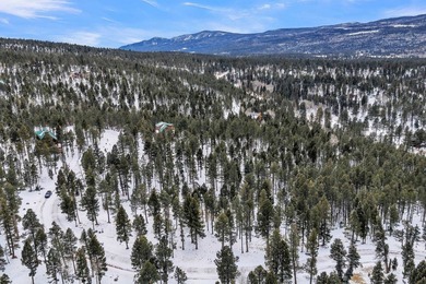 Ready to build your mountain home in Angel Fire, NM?! This - photo 3