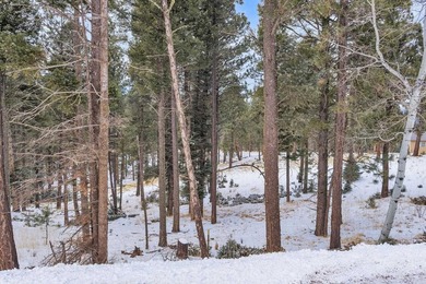 Ready to build your mountain home in Angel Fire, NM?! This - photo 4