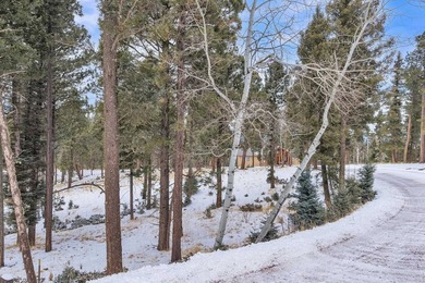 Ready to build your mountain home in Angel Fire, NM?! This - photo 5