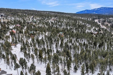 Ready to build your mountain home in Angel Fire, NM?! This - photo 6