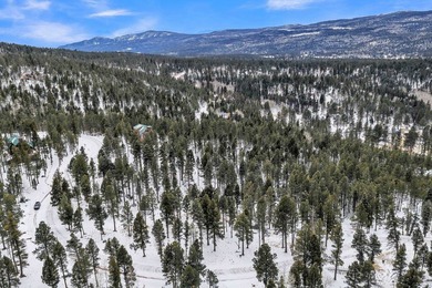 Ready to build your mountain home in Angel Fire, NM?! This - photo 7