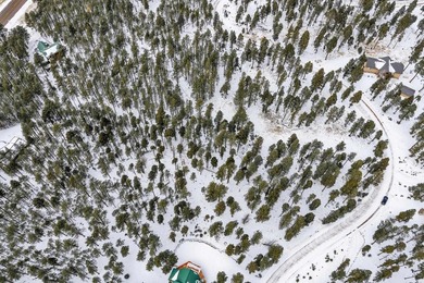 Ready to build your mountain home in Angel Fire, NM?! This - photo 9