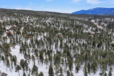 Ready to build your mountain home in Angel Fire, NM?! This - photo 10