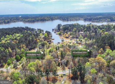 Lake Sinclair Acreage For Sale in Eatonton Georgia