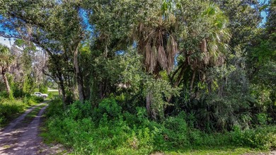 Come check out your future site. Prime commercial Vacant Lot CG - photo 2