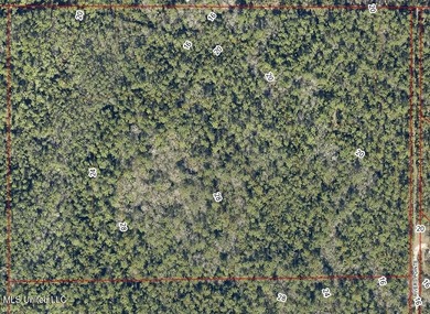 Vacant wooded land at the dead-end of Rivers Pointe. 16th - photo 2
