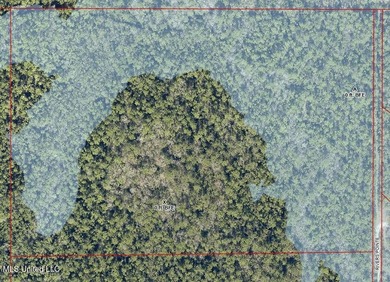 Vacant wooded land at the dead-end of Rivers Pointe. 16th - photo 3