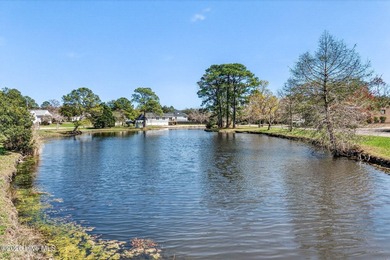 Located just minutes to Carolina Beach and downtown Wilmington - photo 44