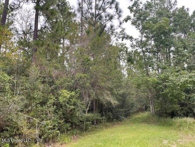 Vacant wooded land at the dead-end of Rivers Pointe. 16th - photo 5