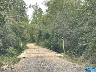 Vacant wooded land at the dead-end of Rivers Pointe. 16th - photo 6