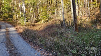 (private lake, pond, coastal) Lot For Sale in Green Mountain North Carolina