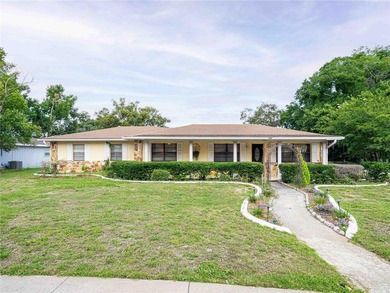 Lake Minneola Home For Sale in Minneola Florida