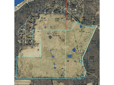 99 Acres M/L in Ozark County, MO - Borders 2,500+ Acres of - photo 3
