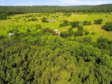 99 Acres M/L in Ozark County, MO - Borders 2,500+ Acres of - photo 5