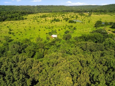 99 Acres M/L in Ozark County, MO - Borders 2,500+ Acres of - photo 6
