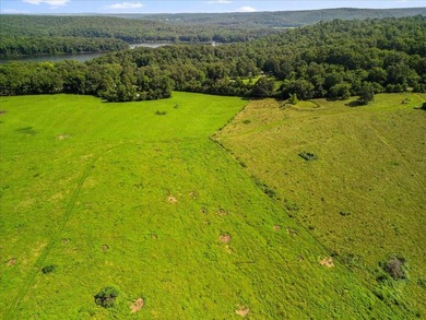 99 Acres M/L in Ozark County, MO - Borders 2,500+ Acres of - photo 7