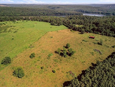 99 Acres M/L in Ozark County, MO - Borders 2,500+ Acres of - photo 8