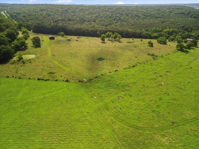 99 Acres M/L in Ozark County, MO - Borders 2,500+ Acres of - photo 10